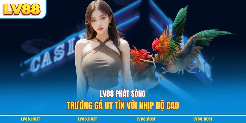 LV88 phát sóng trường gà uy tín với nhịp độ cao